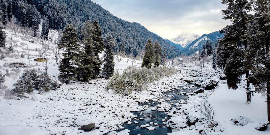 the fragrance of cultural kashmir