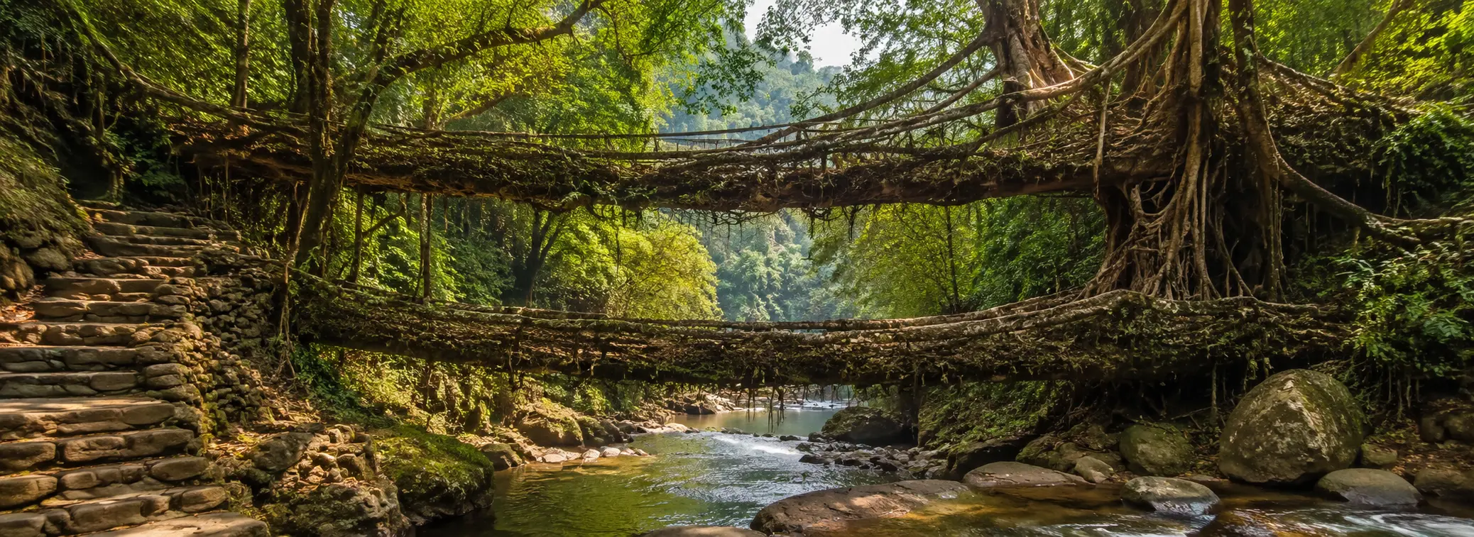 7 Days Meghalaya Package | Kaziranga & Double Decker Root Bridge