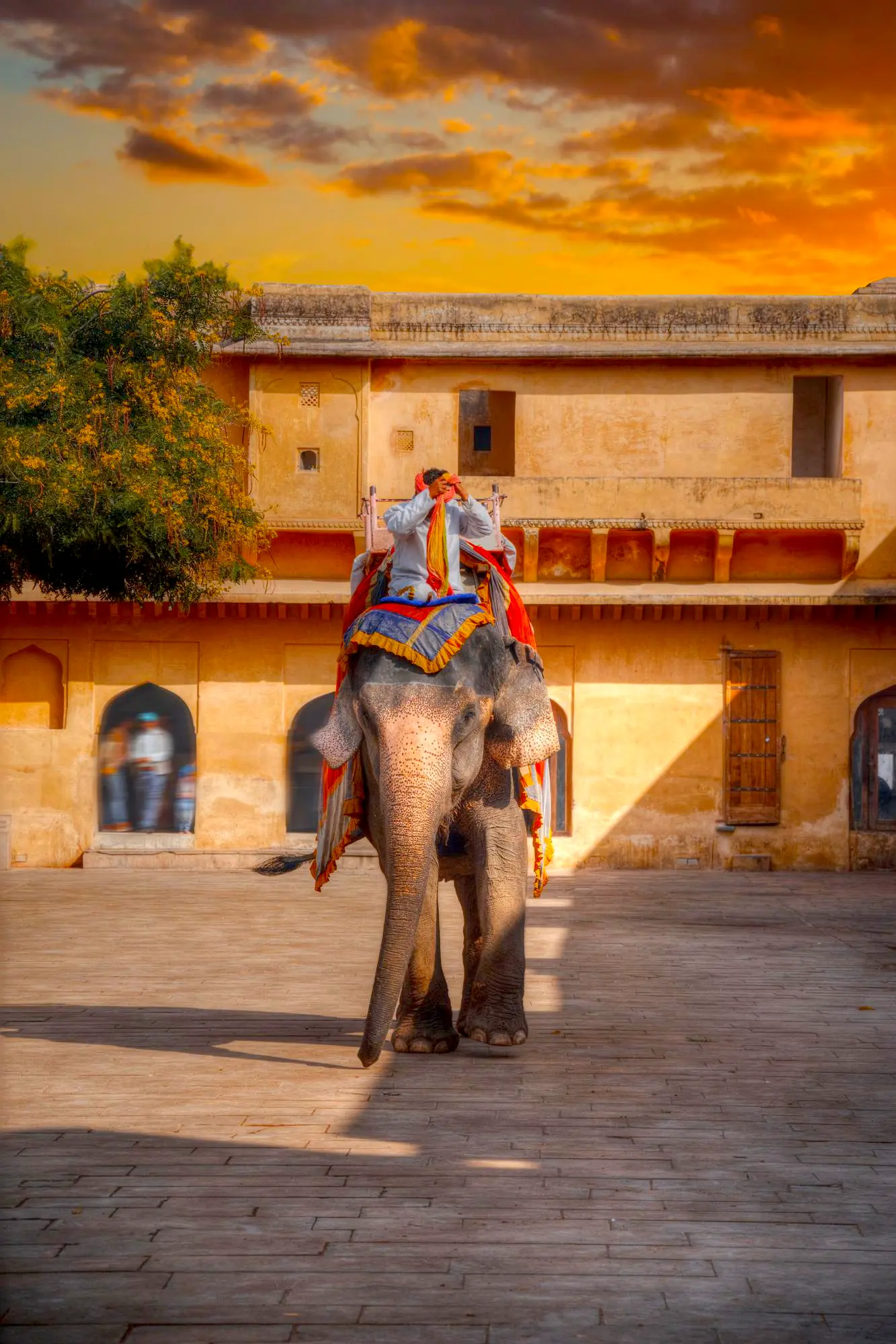 4 Days Royal Rajasthan With Jodhpur And Jaisalmer