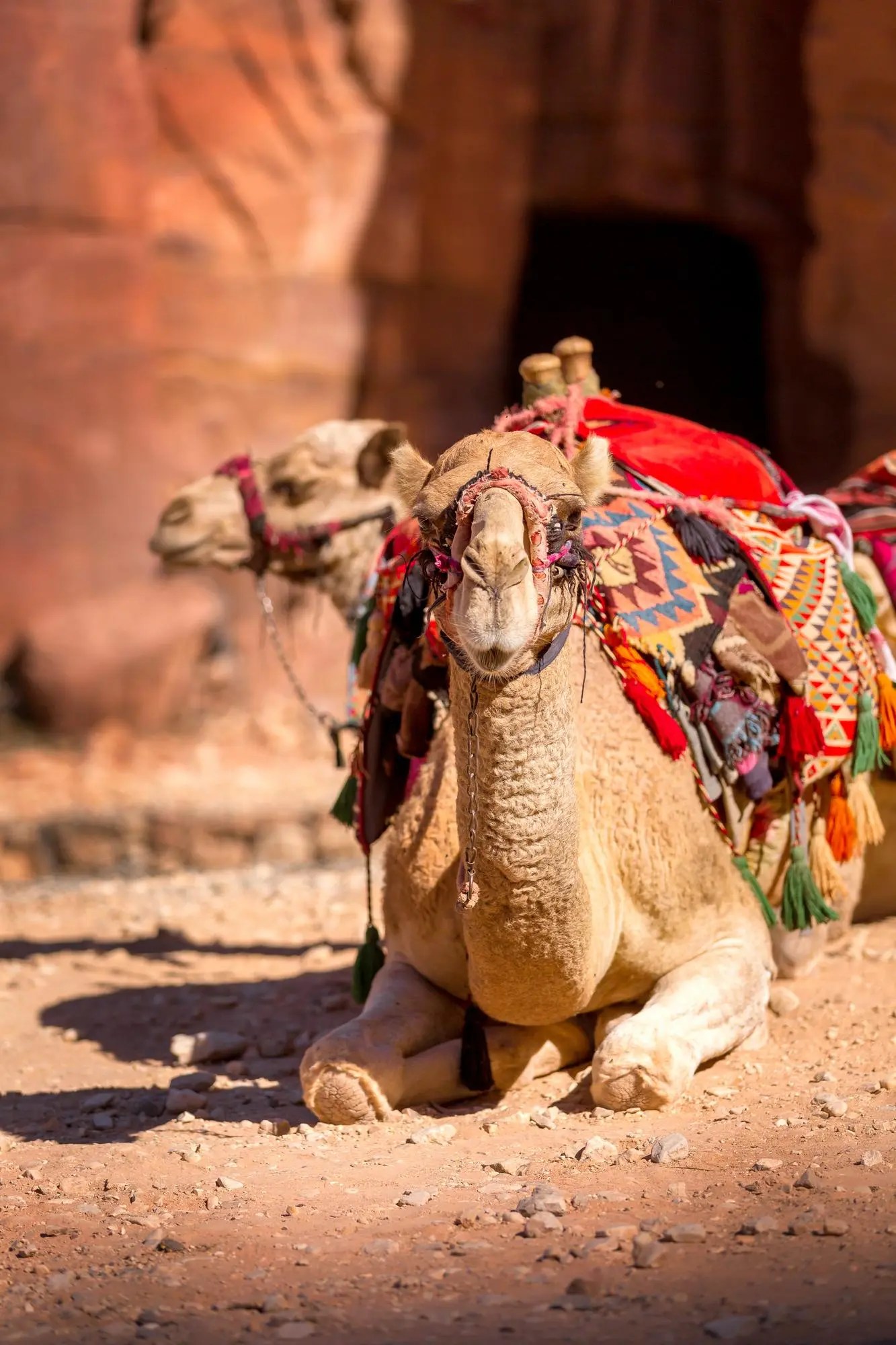 Wonders Of Rajasthan With Jaipur, Jodhpur & Jaisalmer